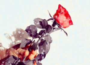Powerful Love Spells in Brazil That Work Across All Regions