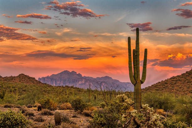 Prof. Eric Galandi’s love spells in Arizona bring real, lasting change