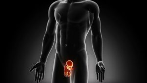 Restore Your Masculine Energy: Powerful Spell to Heal Erectile Dysfunction & Weak Erection Karma
