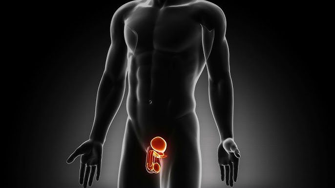 Restore Your Masculine Energy: Powerful Spell to Heal Erectile Dysfunction & Weak Erection Karma
