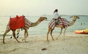 Powerful Love Spells in Dubai: Binding Loyalty in the City of Gold
