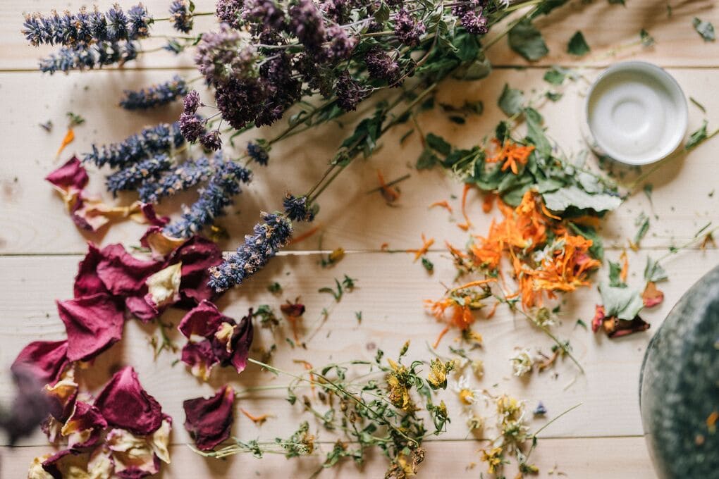 Traditional Herbs Used in Love Spell Practices