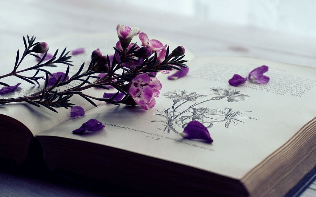 Extreme Working Love Spell: What It Means & When to Seek Spiritual Guidance